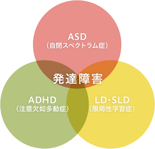 発達障害 図